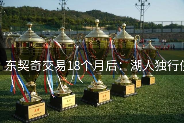 东契奇交易18个月后：湖人独行侠重建效果大比拼