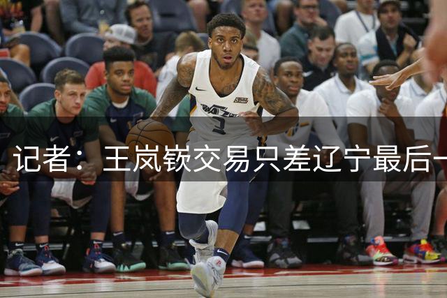 记者：王岚嵚交易只差辽宁最后一步 他很可能加盟山东男篮