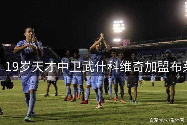 19岁天才中卫武什科维奇加盟布莱顿 赛前分析视频通话成独特习惯
